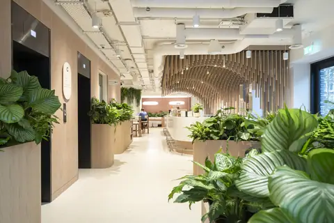 Mayvn Cafe photo 1