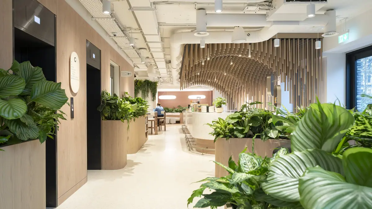Mayvn Cafe – patisserie in Angel, London